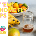 Zap! DIY Fly Traps