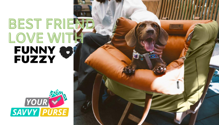 Pet Travel Seasons Are Underway with Funny Fuzzy! Pick Up the Best Dog Car Seat Beds