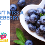 Berry Good Fun: 8 Delicious Blueberry Recipes for Summer