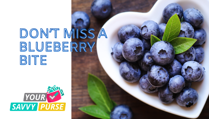 Berry Good Fun: 8 Delicious Blueberry Recipes for Summer