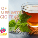 The Perfect Gift for Tea Lovers: Adagio Teas