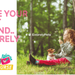 Show Your Pet Some Love by Shopping at EntirelyPets Pharmacy