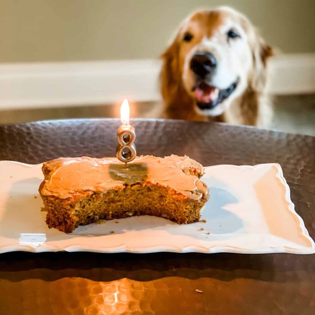 Celebrate Your Dog’s Birthday in Style