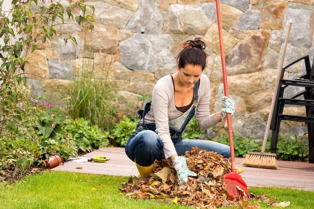 Fall and Winter Garden Prep Made Easy