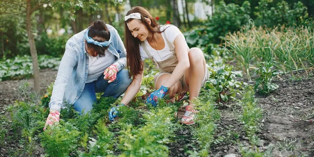 power-of-gardening-main - Your Savvy Purse