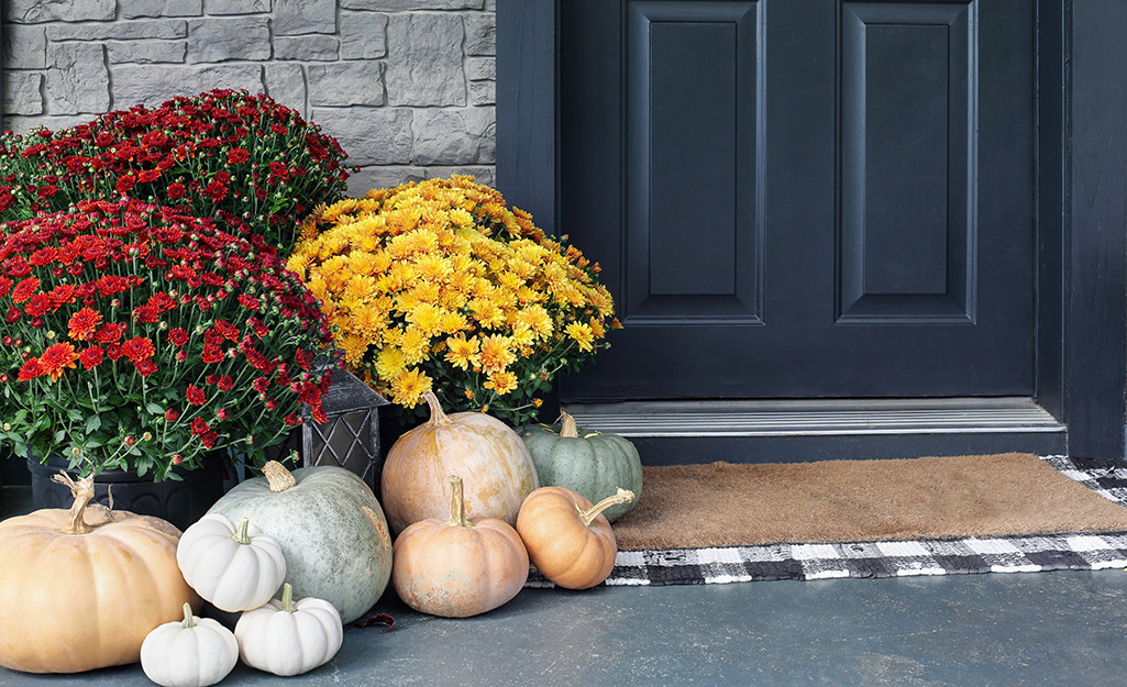 Boost Your Fall Curb Appeal with These Easy Tips 🍂