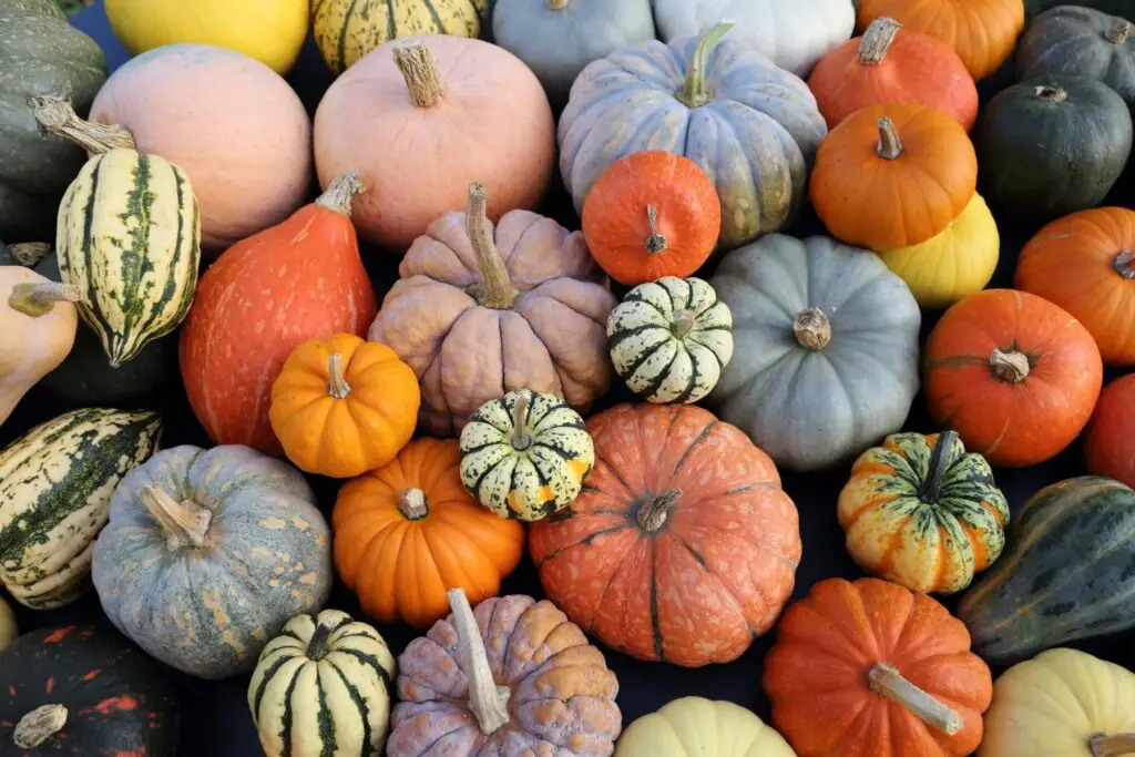 How Much Fall Can You Haul? Your Ultimate Fall Harvest Guide