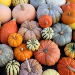 How Much Fall Can You Haul? Your Ultimate Fall Harvest Guide