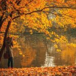 Fall in Love with Photography: Curate the Perfect Autumn Photos