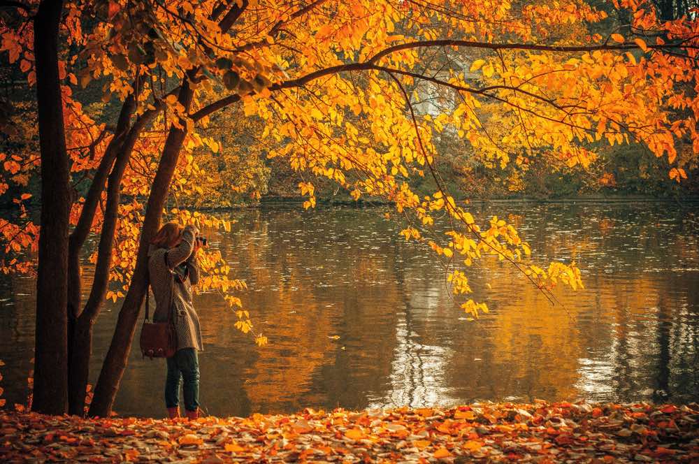 Fall in Love with Photography: Curate the Perfect Autumn Photos