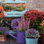 Brighten Your Autumn with Fall Garden Blooms