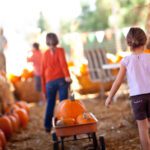 Fall Family Fun Guide: Top Activities to Enjoy this Season