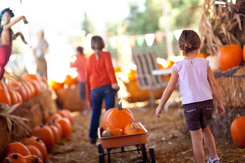 Fall Family Fun Guide: Top Activities to Enjoy this Season