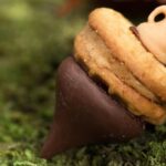 Create Whimsy & Wonder with DIY Acorn Crafts and Chocolate Acorn Desserts