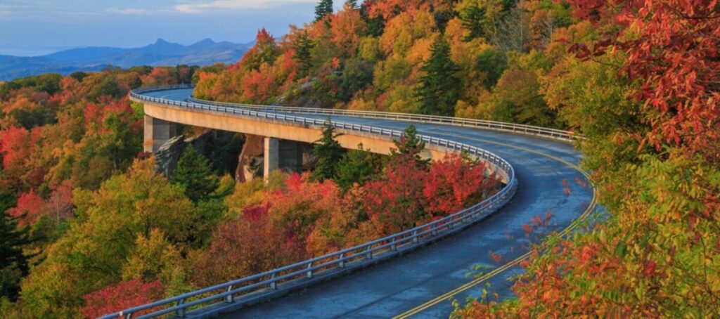 Top Fall Foliage Road Trips You Need to Take This Season