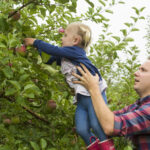 Autumn Family Fun: 8 Activities to Delight Your Little Ones