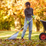 5 Easy Ways to Get Rid of Leaves Without Raking