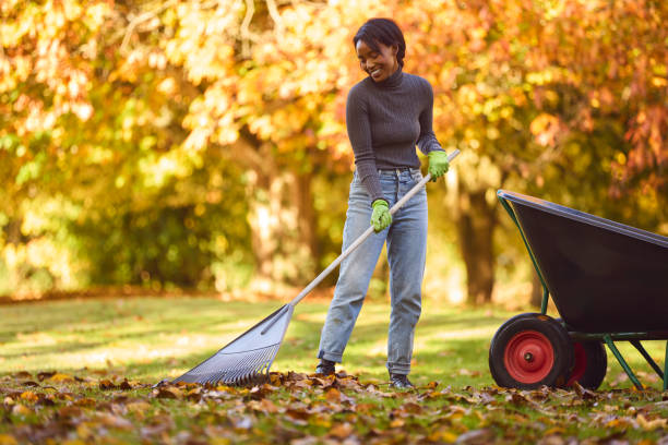 5 Easy Ways to Get Rid of Leaves Without Raking