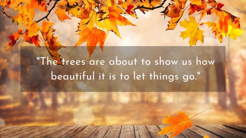 Fall into Inspiration with These Autumn Quotes