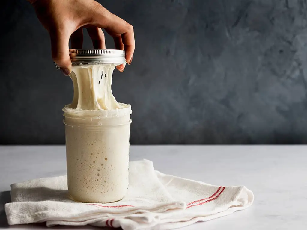 How to Make the Perfect Sourdough Starter: A Beginner’s Guide