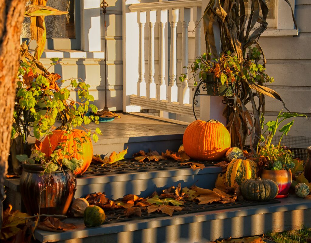 Cozy on a Budget: Fall Home Decor that Saves Money