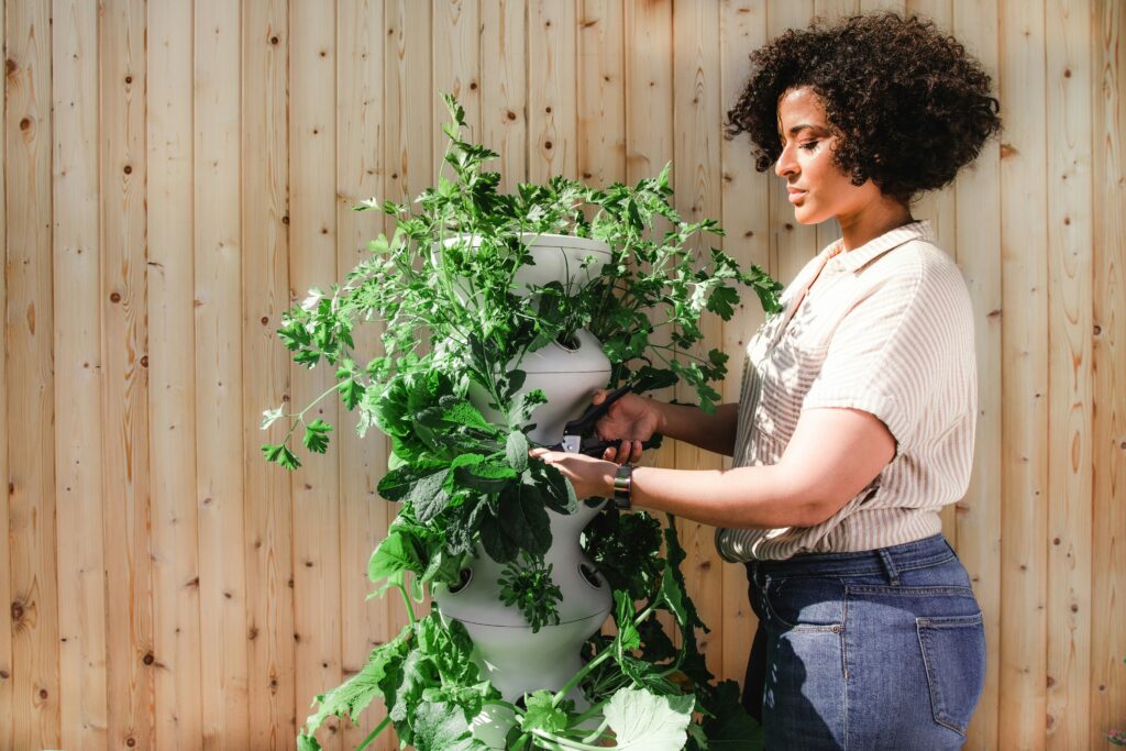 Grow More, Spend Less: How Gardening Can Save You Money and Enrich Your Life