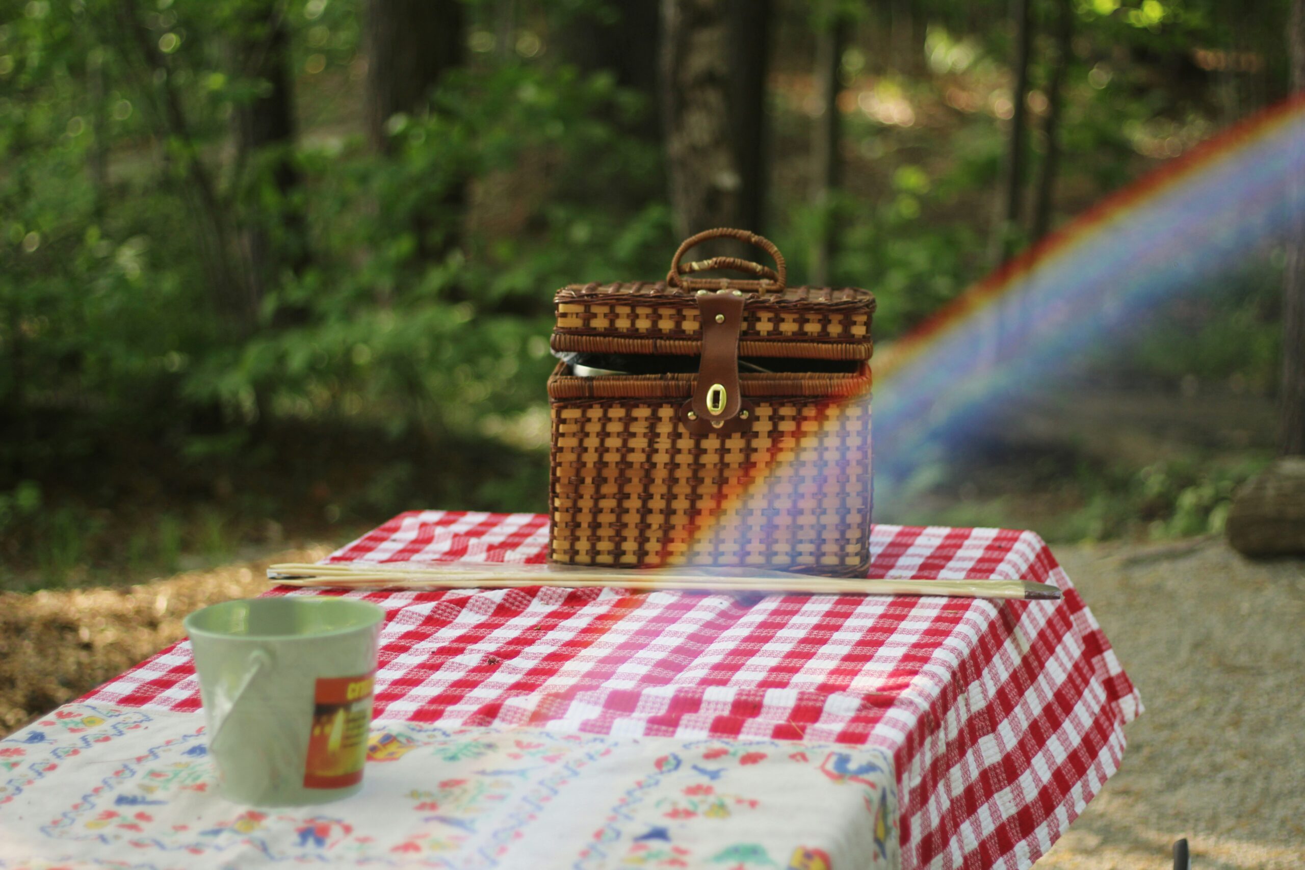 The Memorial Day "Luxury Picnic": A Savvy Start to Summer 2026
