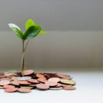The Snowball vs. Avalanche Showdown: Mastering the Mindset and Math of Debt Payoff
