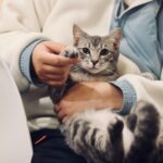 Pet Insurance: Is It Worth It? The Savvy Cost-Benefit Analysis