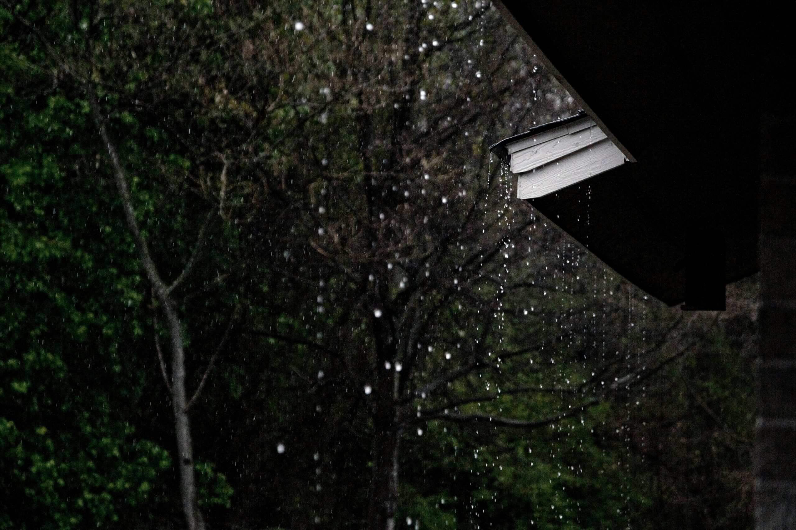 The "Water Backup" vs. "Flood Insurance" Trap: Protecting Your Home from a $15,000 Surprise