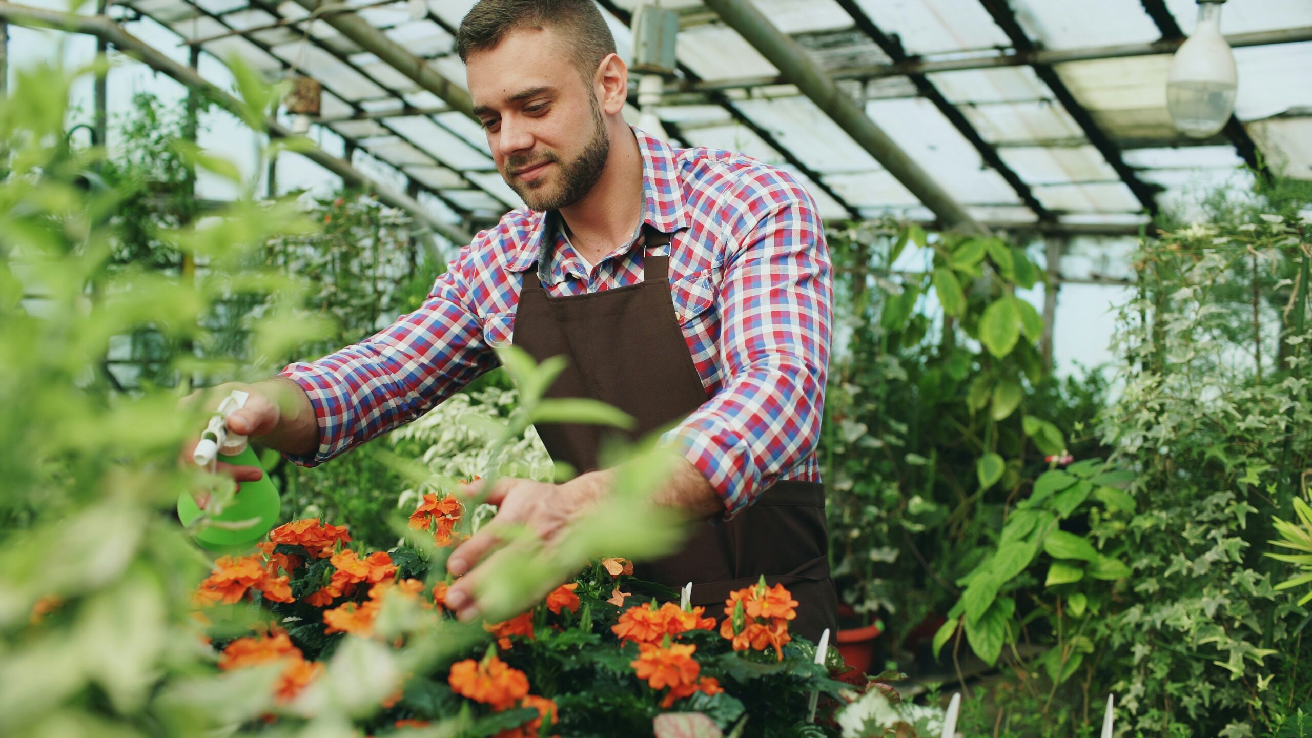 The Master Gardener’s Toolkit: Father’s Day Edition