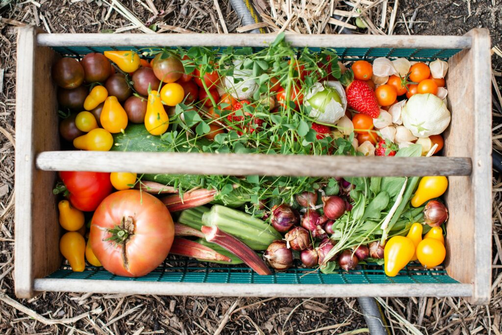 The Grocery-Defeating Garden: Easy Vegetables for Your First High-Yield Backyard Plot