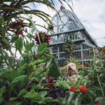 The Canine Sanctuary: Transform Your Backyard With 13 Sensory Garden Ideas Every Dog Owner Needs