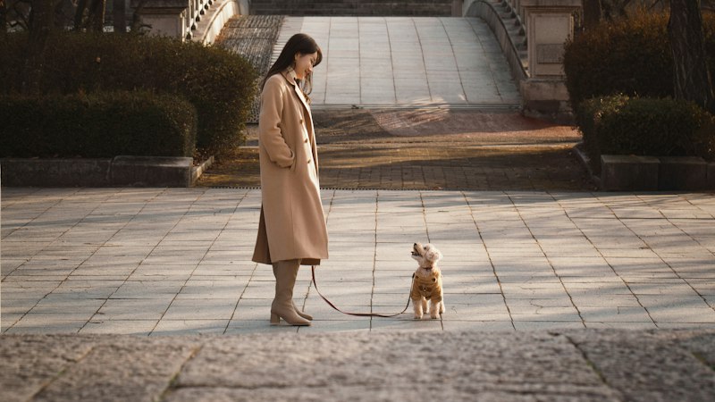 Woman walking a small dog on a leash in a park